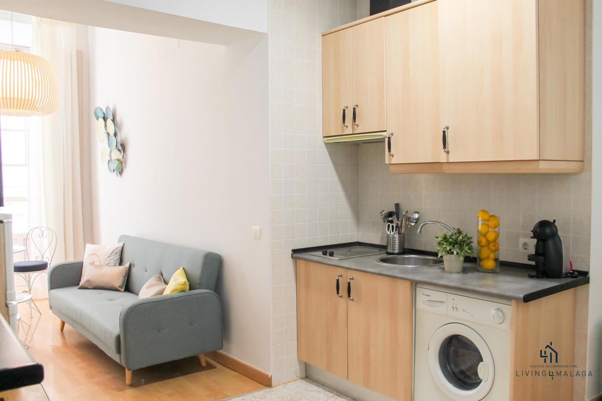 Living4Malaga Guevara Apartment エクステリア 写真