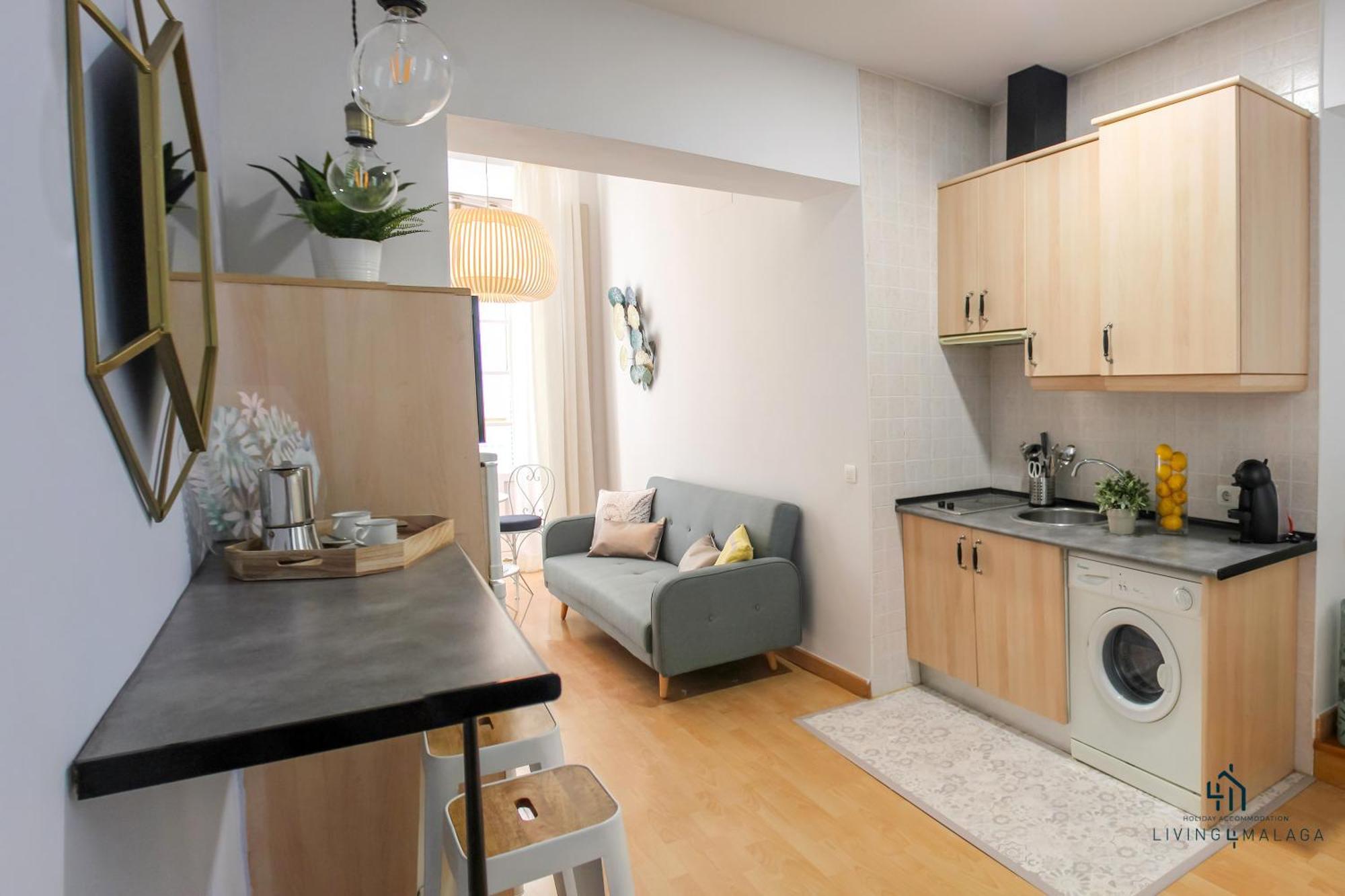 Living4Malaga Guevara Apartment エクステリア 写真