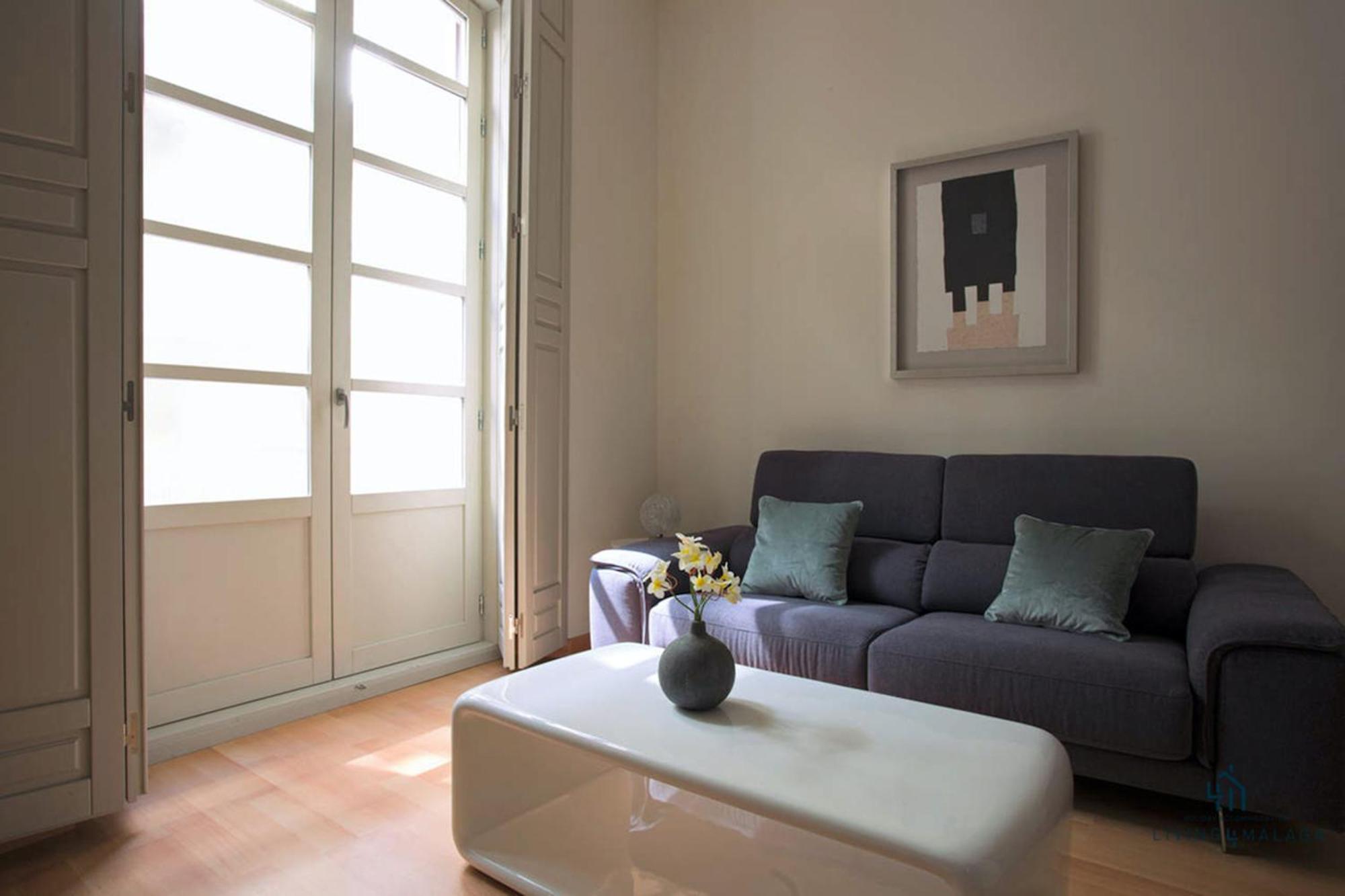 Living4Malaga Guevara Apartment エクステリア 写真